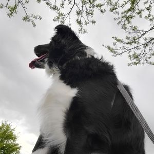 Meet your Posher, Trinity